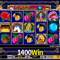 API Integration 1400Win